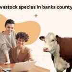 what is the highest livestock species in banks county ga